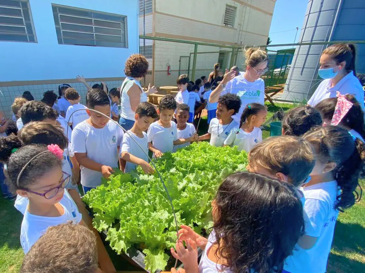 Professores orientando alunos na montagem de horta suspensa para incentivo à alimentação saudável.