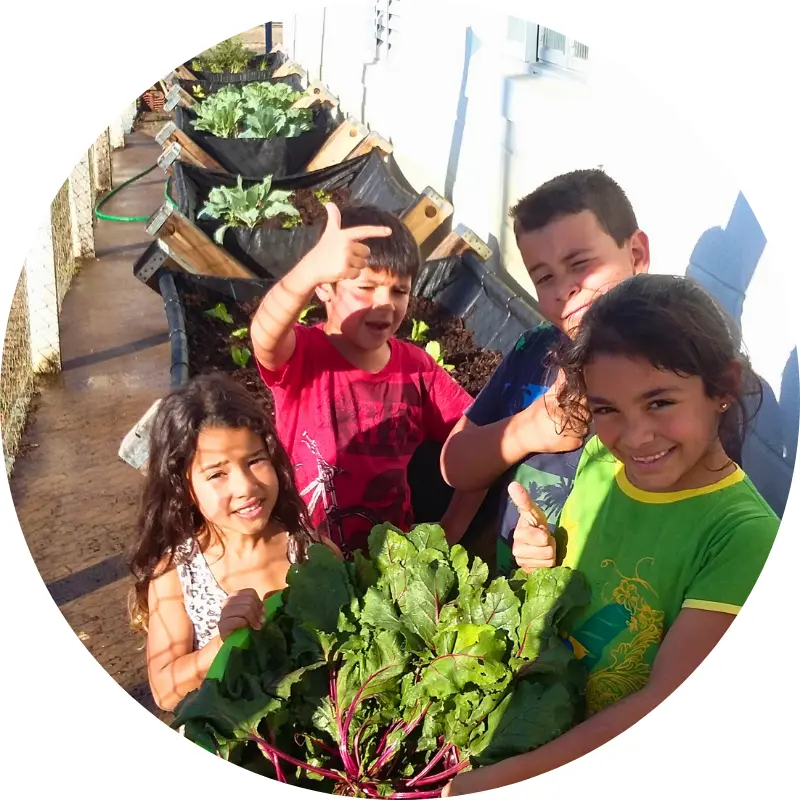 Crianças em uma escola plantando hortaliças em canteiro de horta elevada.