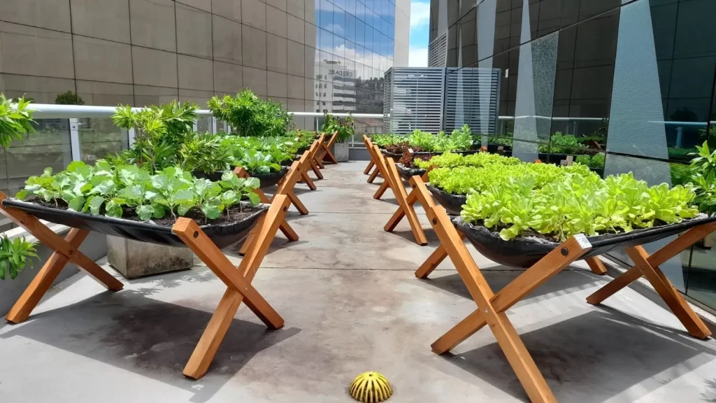 Hortas suspensas elevadas implantadas em pátio de empresa com verduras bem cuidadas.