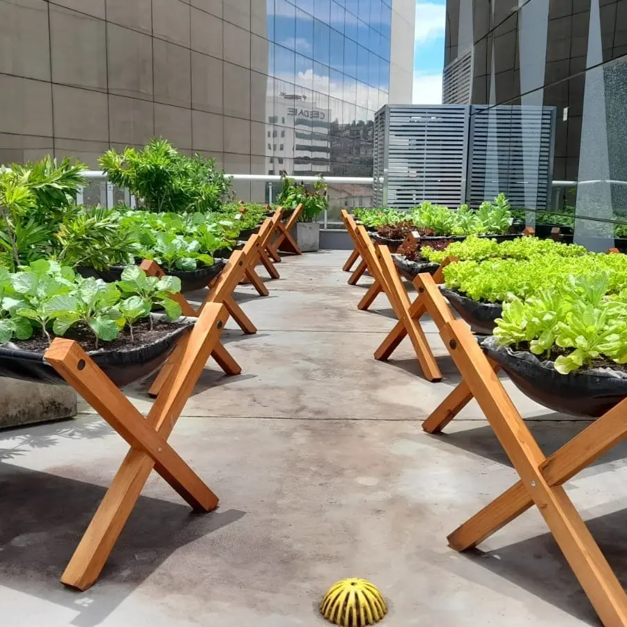 Hortas suspensas elevadas implantadas em pátio de empresa com verduras bem cuidadas.