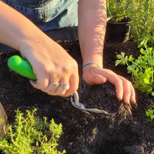 Mãos cuidando de plantas em horta suspensa.