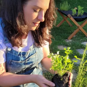 Mulher admirando muda de salsinha em horta vertical suspensa.