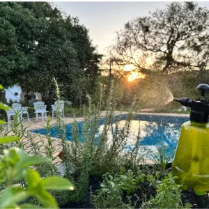 Borrifador de pressão acumulada sobre plantas em horta elevada.