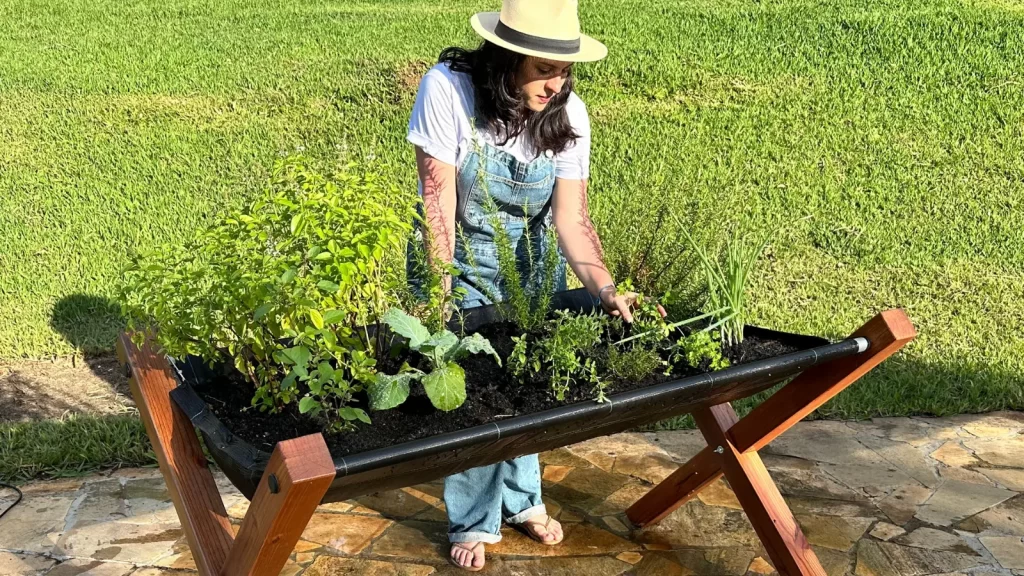 Mulher plantando temperos em canteiro elevado de horta em madeira
