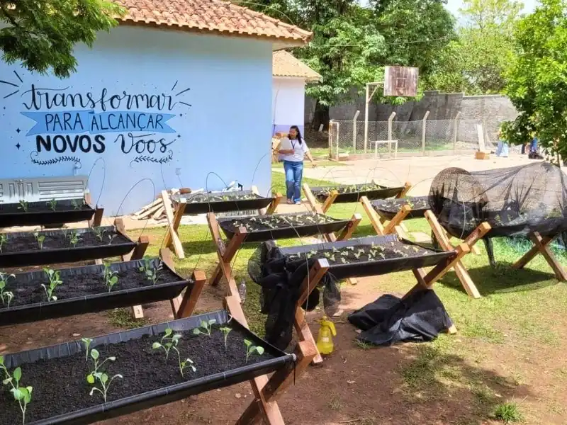 Resultado comparativo de antes e depois, de dez estruturas de hortas suspensas instaladas em pátio de escola.