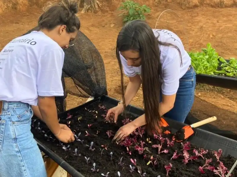 Alunos e instrutor trabalhando juntos em um canteiro, com foco no aprendizado prático sobre o ciclo das plantas.