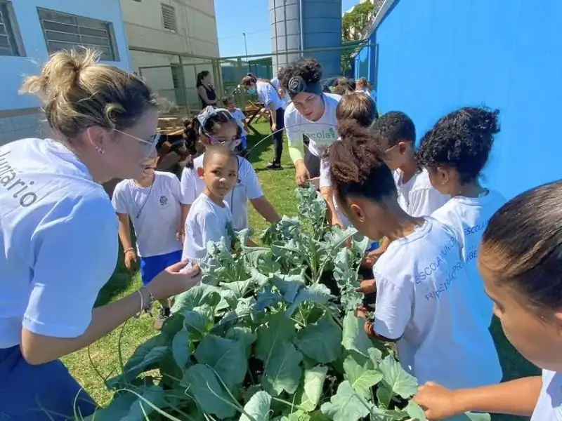 Vista geral da interação entre alunos e equipe técnica durante um dia de atividades na horta escolar.
