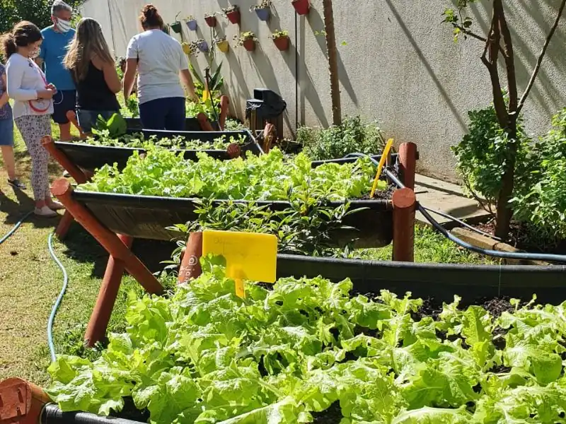 Grupo de moradores interagindo e colhendo alface na horta do prédio.