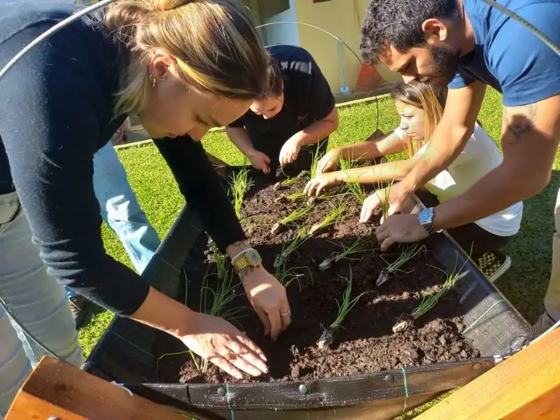 Close em mãos de adultos e crianças plantando mudas de hortaliças em um canteiro elevado com solo fértil e preto.