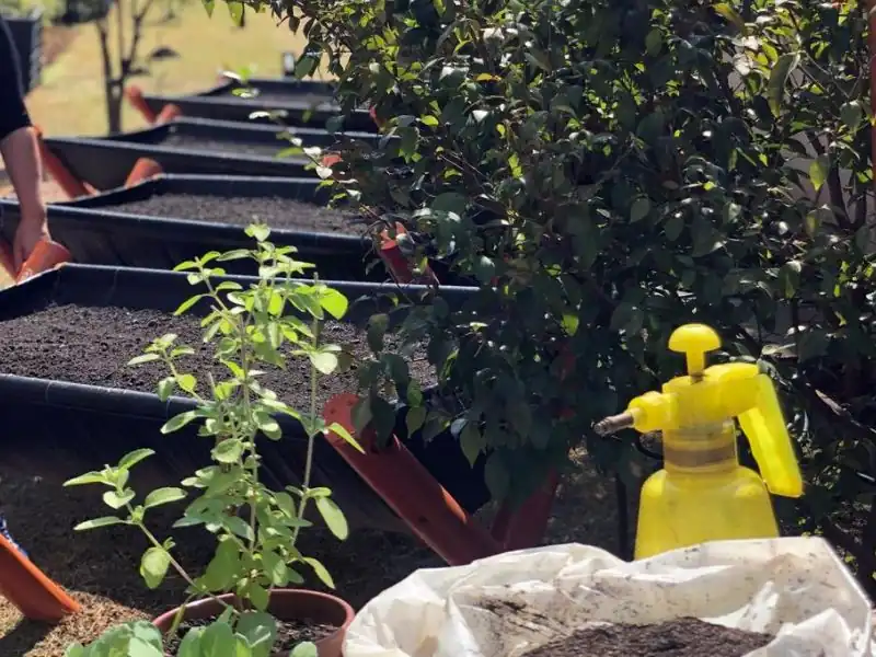 Detalhe do preparo de canteiros suspensos com terra orgânica.