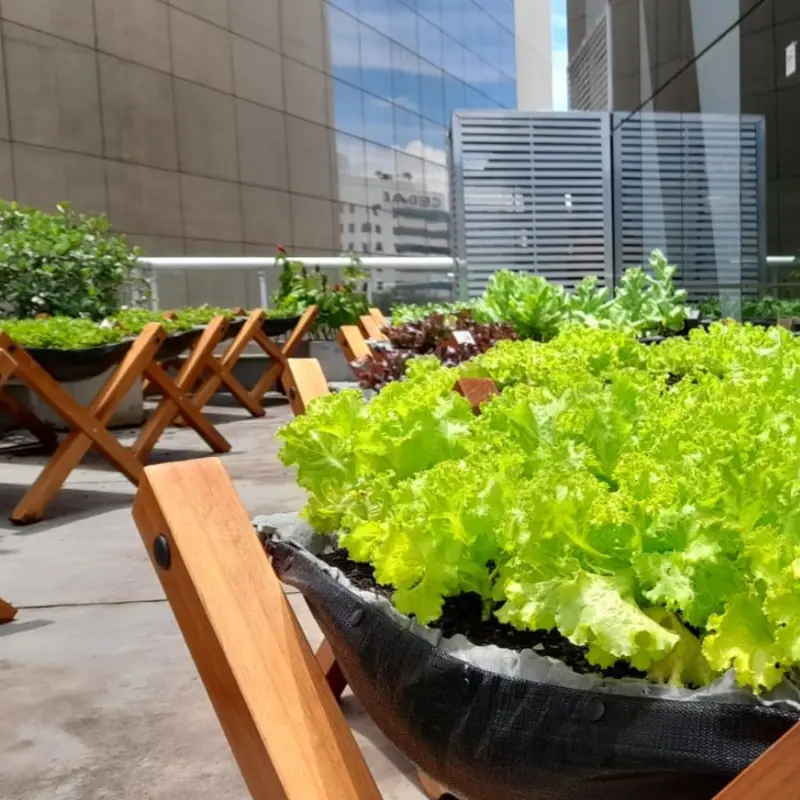Horta corporativa em horta suspensa com estrutura de madeira, cultivo de hortaliças em empresa e projeto ESG.