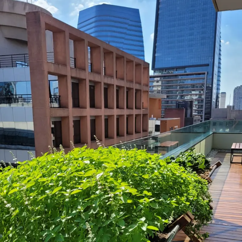 Horta em empresa com alfaces em horta suspensa, cultivo sustentável no rooftop corporativo e bem-estar no trabalho.