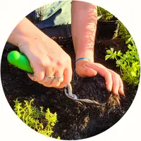 Icone da página de serviços do Jardim de Comer.