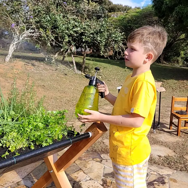 Criança regando horta suspensa do Jardim de Comer com borrifador, canteiro elevado com ervas e temperos frescos no quintal.
