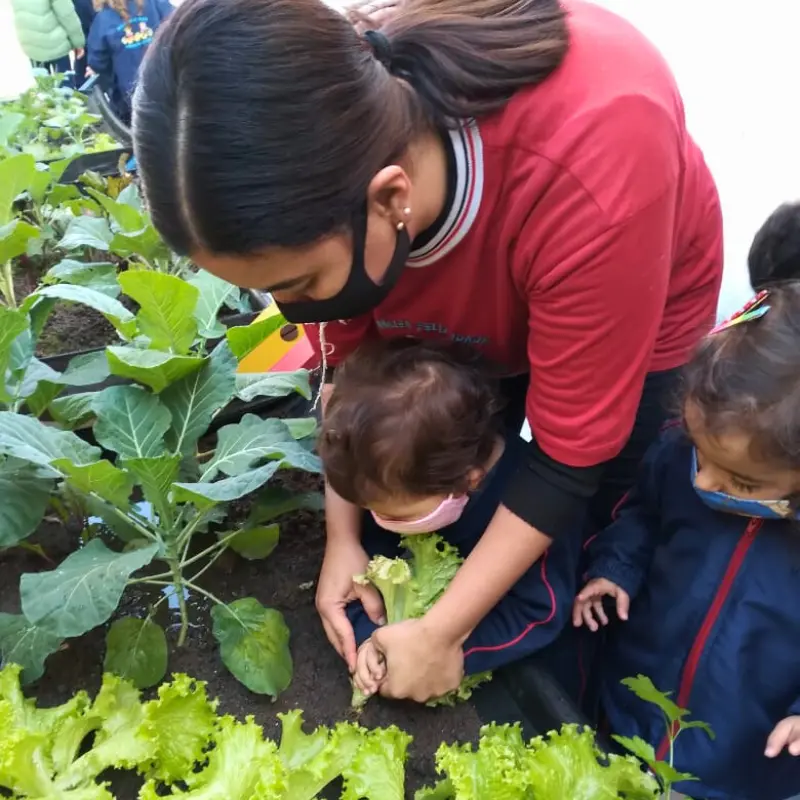 Educadora ajudando criança a colher alface na horta escolar, horta suspensa com verduras e folhas verdes.