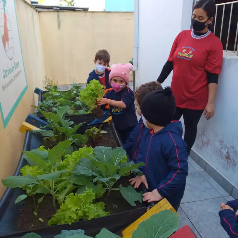Crianças com professora na horta escolar colhendo alface fresca, hortas suspensas com hortaliças e couves.