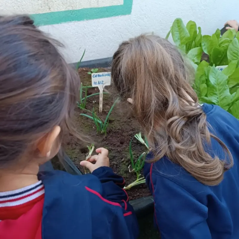 Duas crianças plantando na horta escolar, horta suspensa com cebolinha e folhas verdes em espaço educativo.