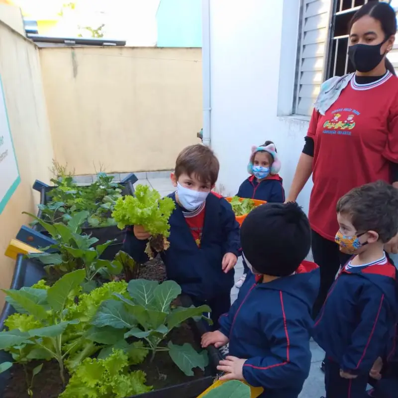 Aluno mostrando alface colhida na horta escolar com professora, horta suspensa com verduras e plantas.