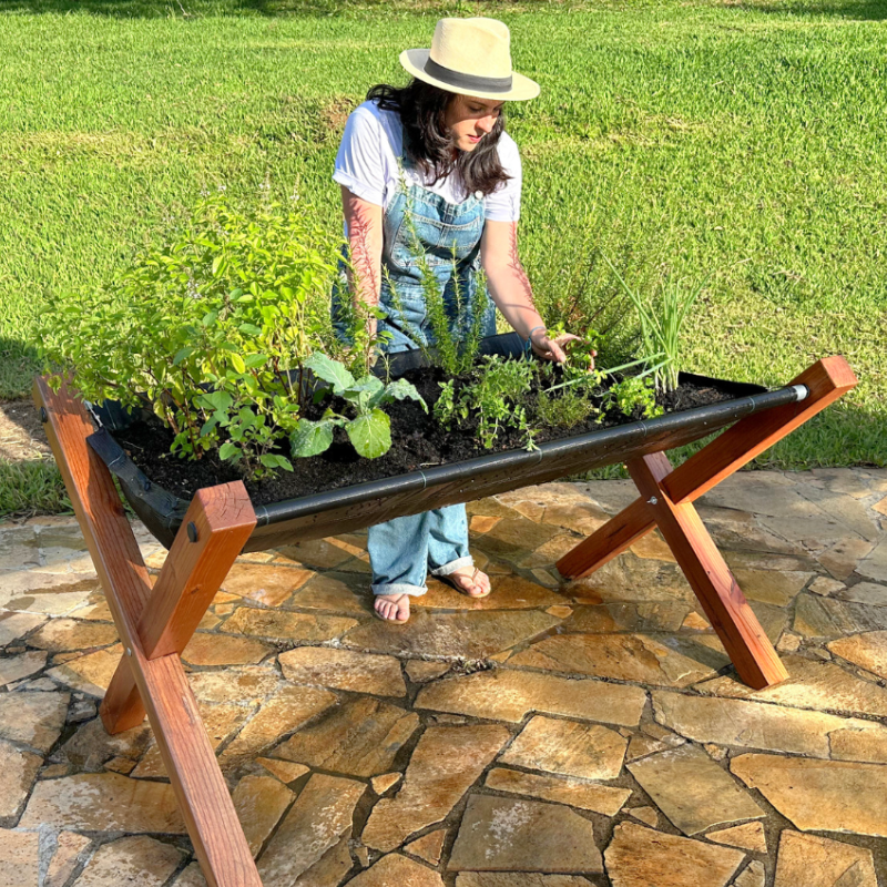 Horta Suspensa Jardim de Comer: Mulher cuidando de plantas no canteiro suspenso, plantado com temperos e ervas de chá. Piso de pedra, e gramado bem cuidado ao fundo.