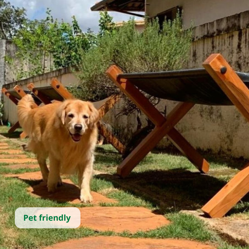 Horta Suspensa Jardim de Comer: Imagem que demonstra como o produto convive bem com animais de estimação (pets).